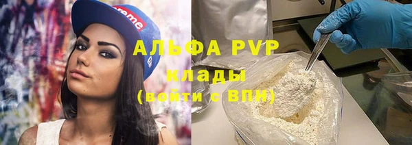 прущие крисы Гусев