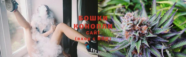 прущие крисы Гусев