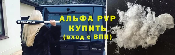 прущие крисы Гусев