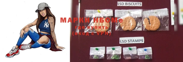 PSILOCYBIN Гусь-Хрустальный