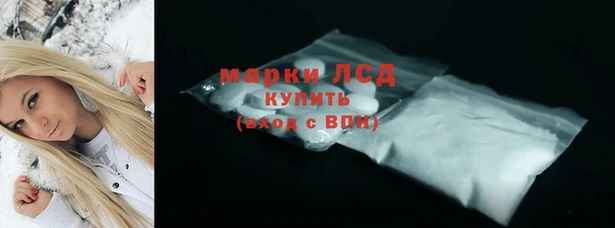 PSILOCYBIN Гусь-Хрустальный