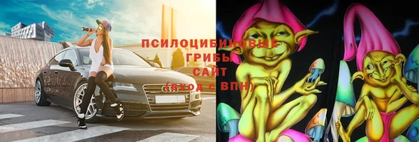 гашик Гусиноозёрск
