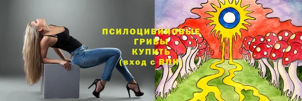 прущие крисы Гусев