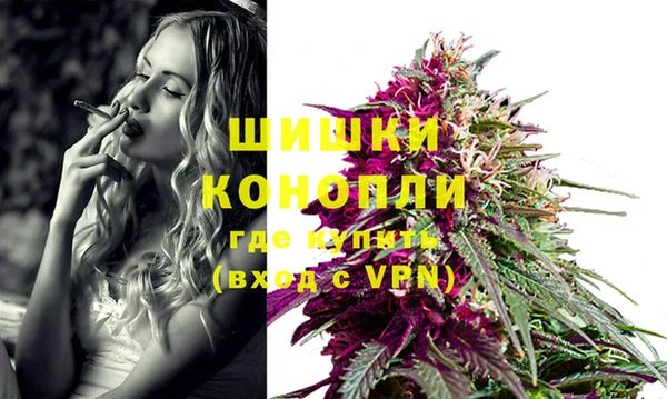 прущие крисы Гусев